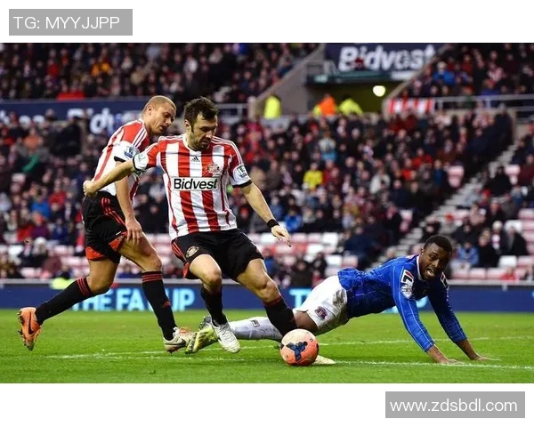 什鲁斯与查尔顿激战正酣比分揭晓精彩瞬间回顾